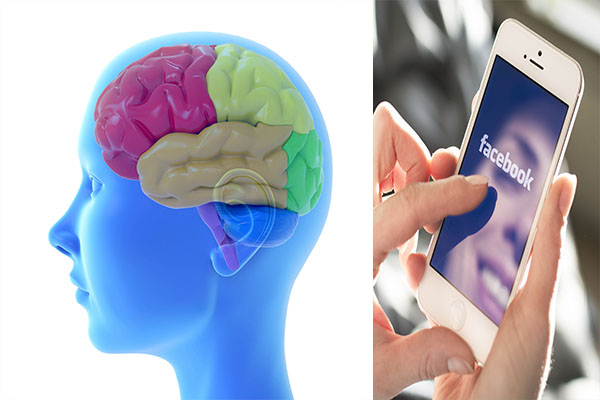 Dimmi quanti amici hai sui social e ti dirò che cervello hai!